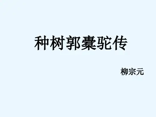 种树郭橐驼传