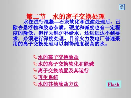 水的离子交换处理