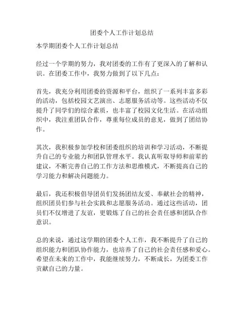 团委个人工作计划总结