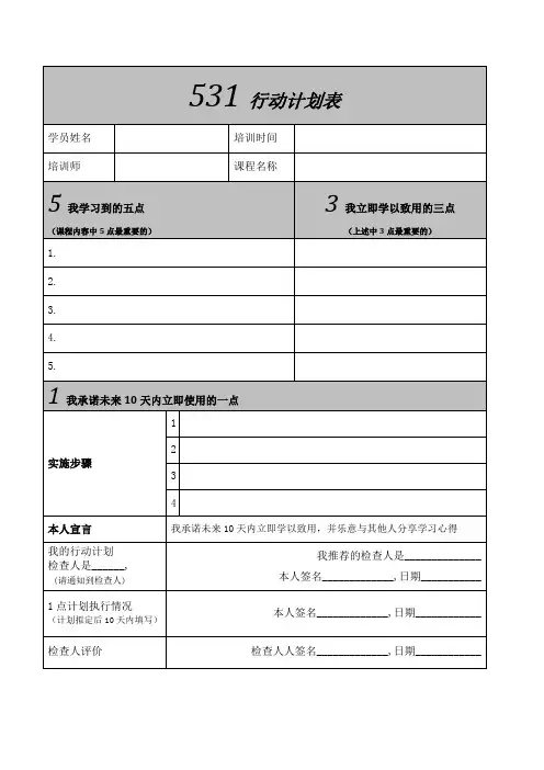 531行动计划表