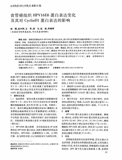食管癌组织HPV16E6蛋白表达变化及其对CyclinD蛋白表达的影响