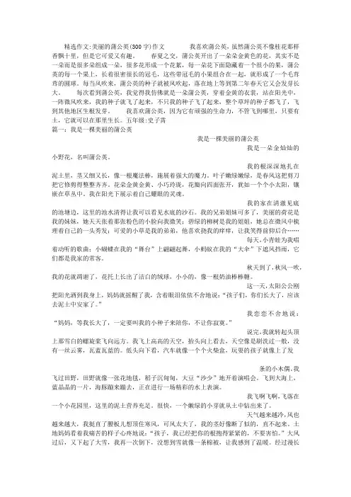 美丽的蒲公英(300字)作文