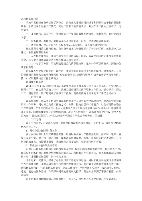 试用期满工作总结范文
