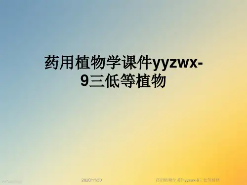 药用植物学课件yyzwx-9三低等植物