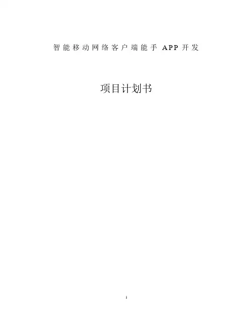 APP项目开发商业计划书