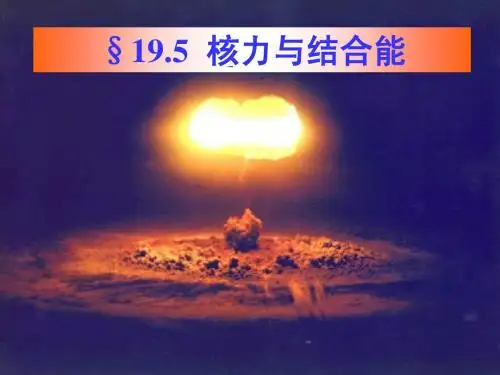 19.5 核力与结合能