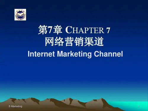第7章:网络营销渠道