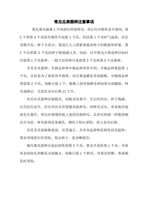常见瓜类留种注意事项