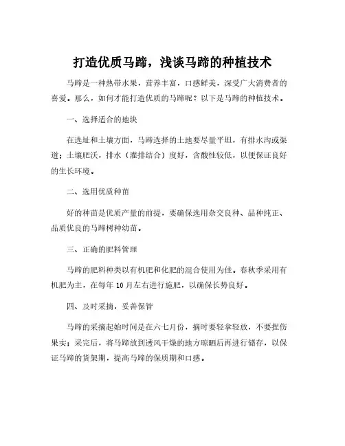 马蹄的种植技术