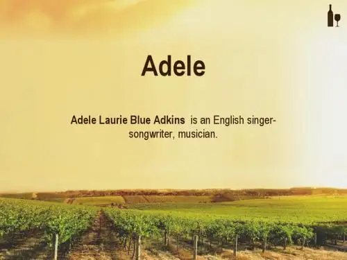 a bried introduction to Adele 阿黛尔