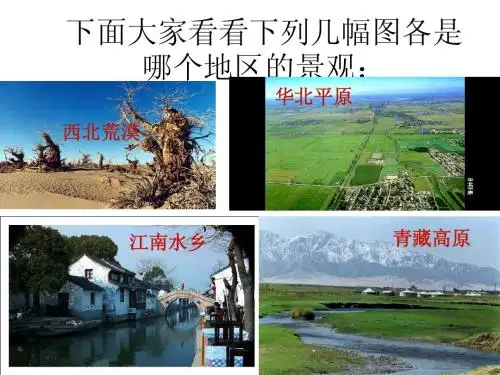 中国的四大区域