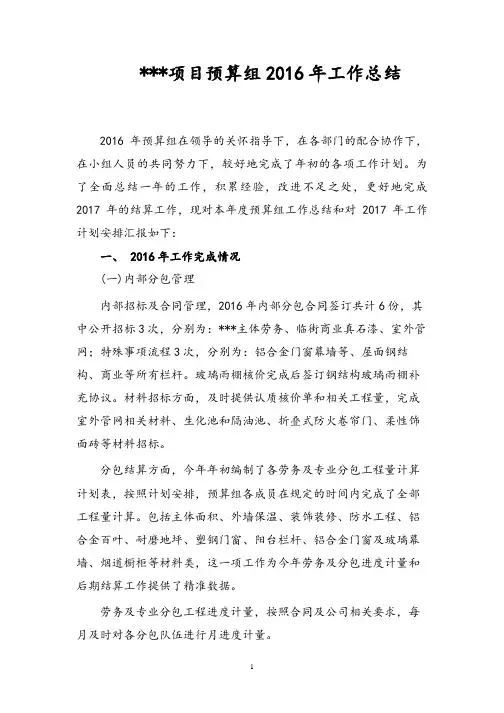 项目预算2016年度工作总结