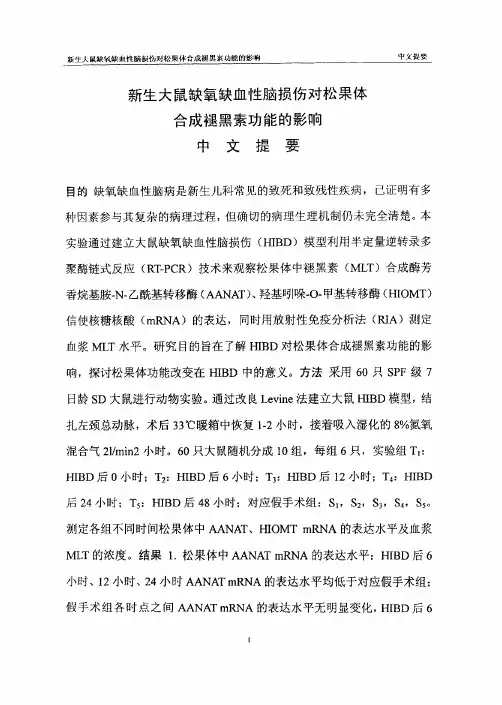 新生大鼠缺氧缺血性脑损伤对松果体合成褪黑素功能的作用
