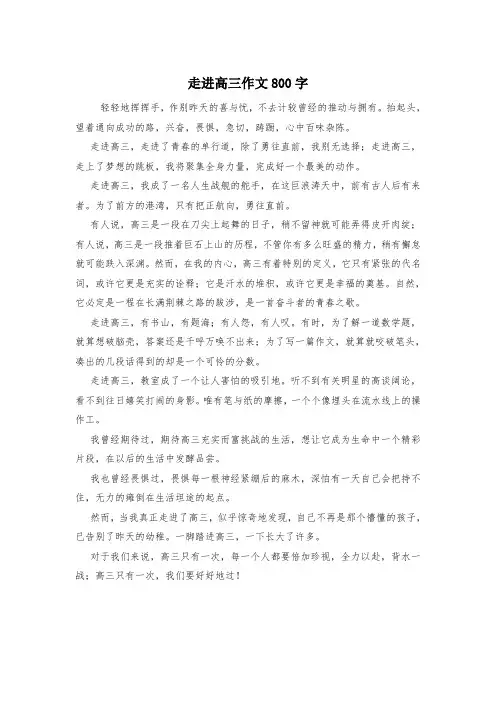 走进高三作文800字