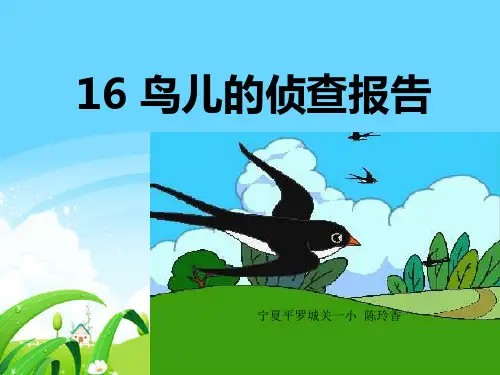 16 鸟儿的侦察报告第二课时精品PPT课件