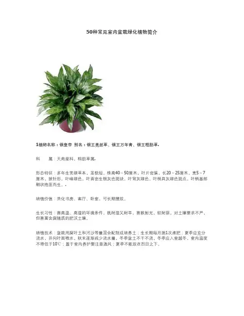 50种常见室内盆栽绿化植物简介