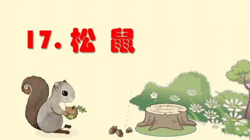 部编版五年级上册《17.松鼠》精品课件(两套)