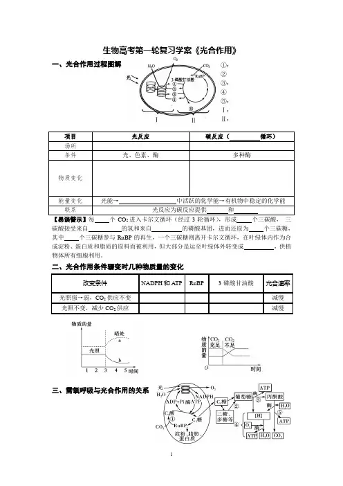 高考第一轮复习学案《光合作用》
