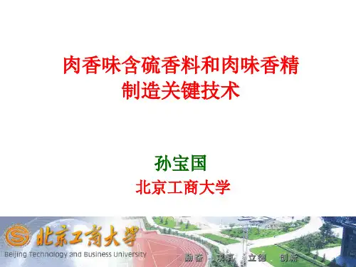 孙宝国-肉味含硫香料和肉味香精制造关键技术