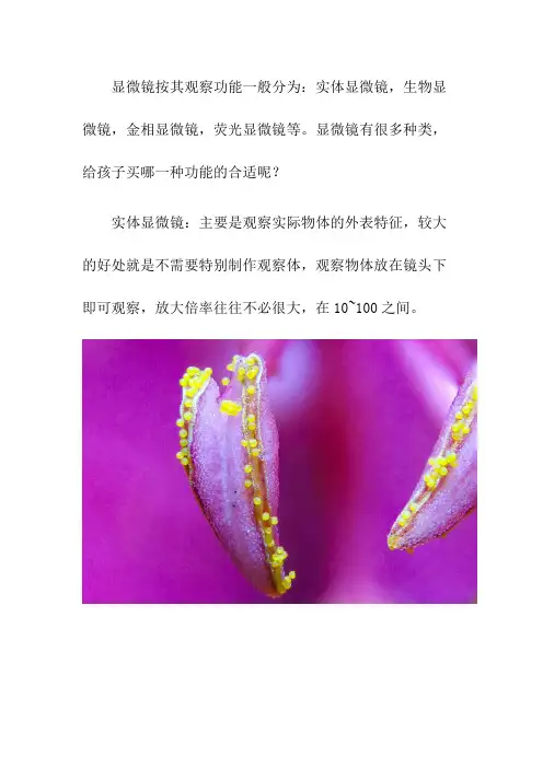 显微镜有很多种类-给孩子买哪一种功能的合适？