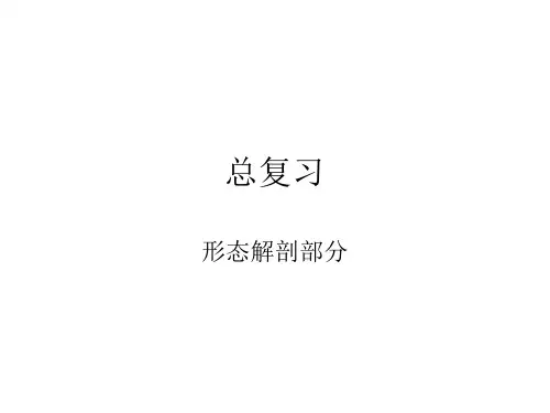 植物学总复习形态解剖部分