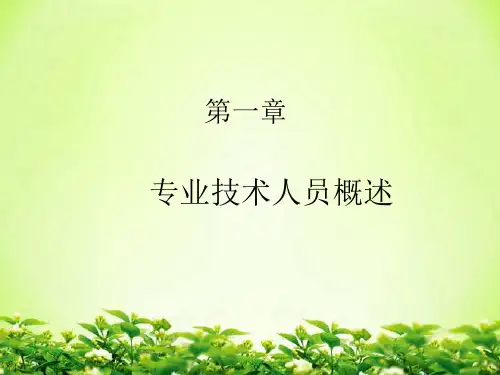专业技术人员概述