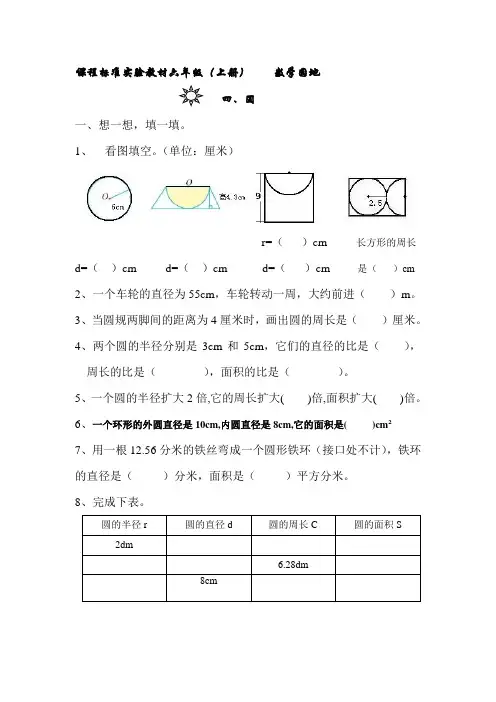 人教版小学六年级上册数学第四单元测试题DOC