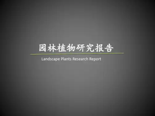 植物景观报告