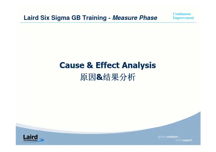 LCIP-SG-M04 Cause-Effect 因果分析 Rev A01CV