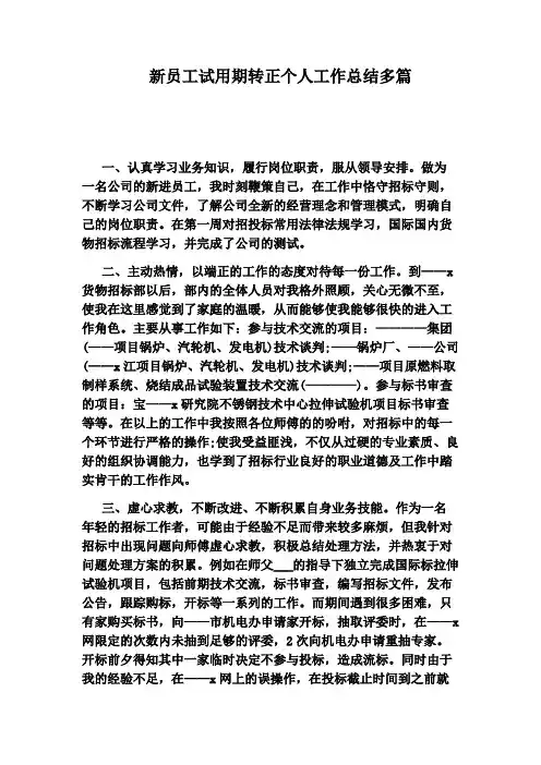 新员工试用期转正个人工作总结多篇