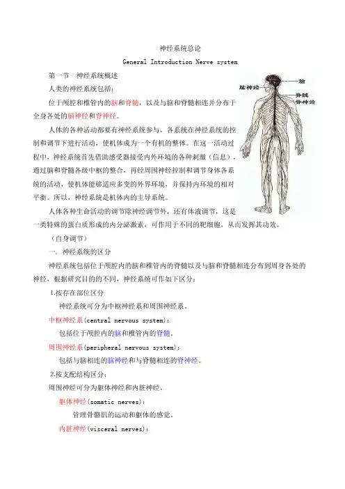 神经系统总论整理