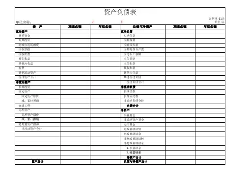 资产负债表行政事业单位模板