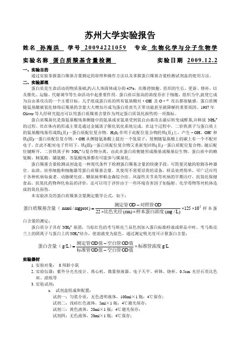 蛋白质羰基含量检测