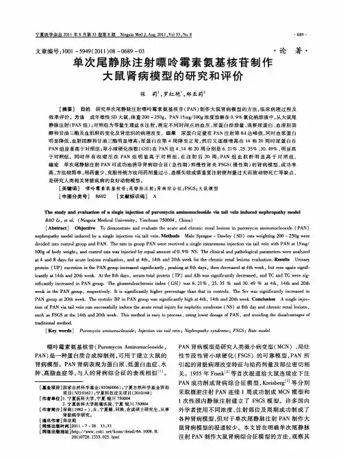 单次尾静脉注射嘌呤霉素氨基核苷制作大鼠肾病模型的研究和评价