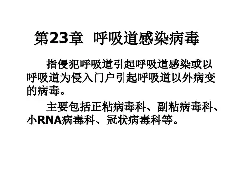 医学微生物学课件--第23章 呼吸道感染病毒