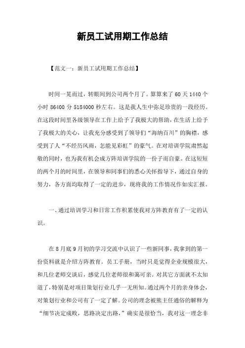 新员工试用期工作总结