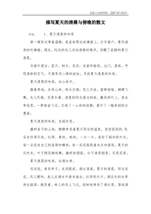 描写夏天的清晨与傍晚的散文