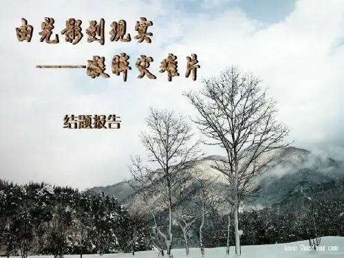 由光影到现实——凝眸灾难片结题报告