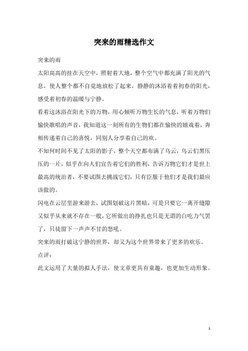 突来的雨精选作文