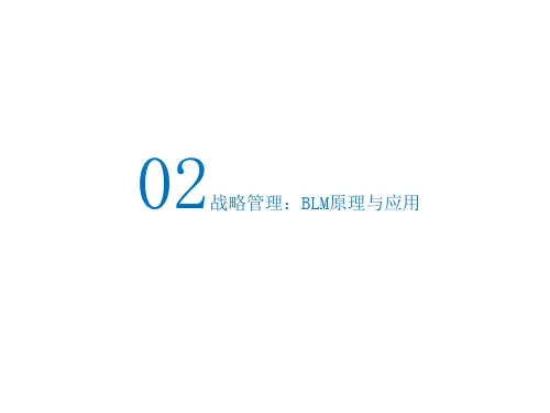BLM模型方法论