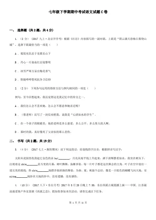 七年级下学期期中考试语文试题C卷