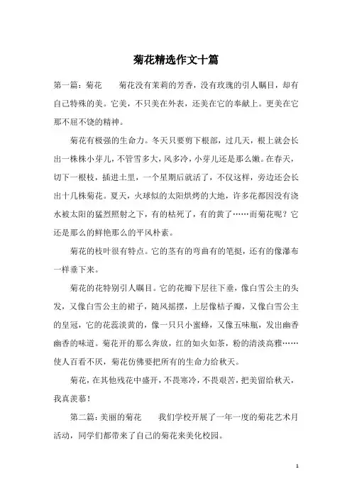 菊花精选作文十篇