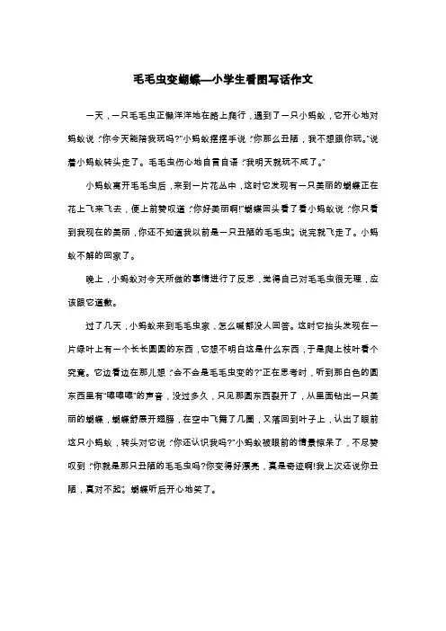毛毛虫变蝴蝶—小学生看图写话作文_看图写话