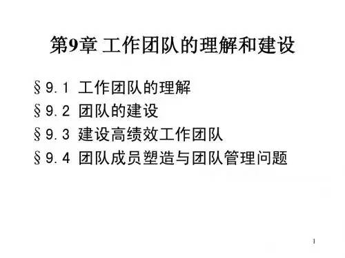 第9章工作团队的理解与建设
