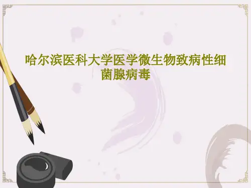 哈尔滨医科大学医学微生物致病性细菌腺病毒17页PPT