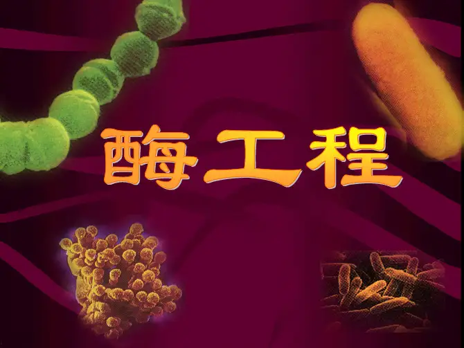 酶工程