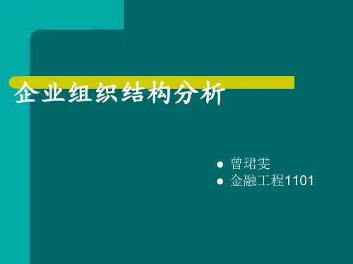企业组织结构分析