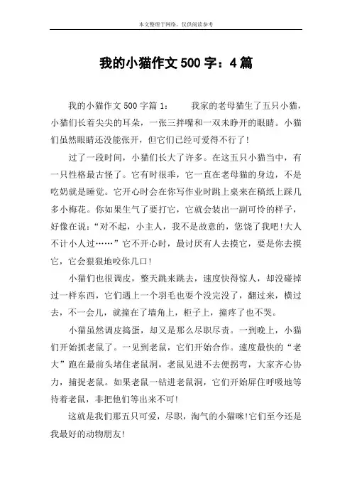 我的小猫作文500字：4篇