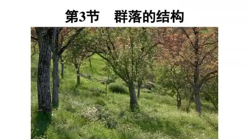 4.3群落的结构