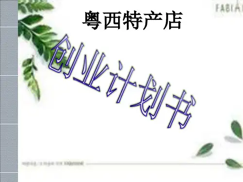 某特产店创业计划书